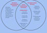 develop a professional youth program or mentoring curriculum